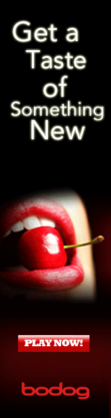 Bodog Flash Casino