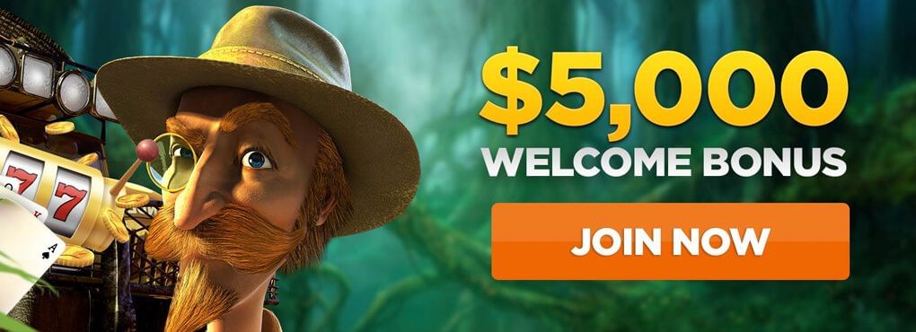 New Wild Casino