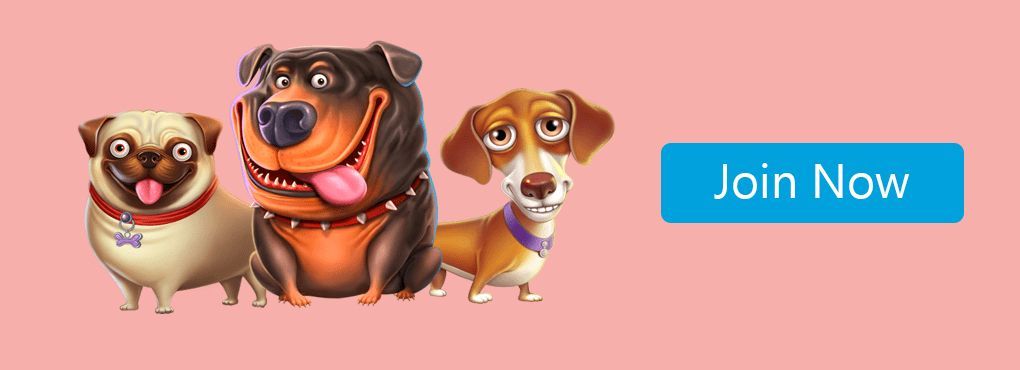 DogsFortune Casino No Deposit Bonus Codes